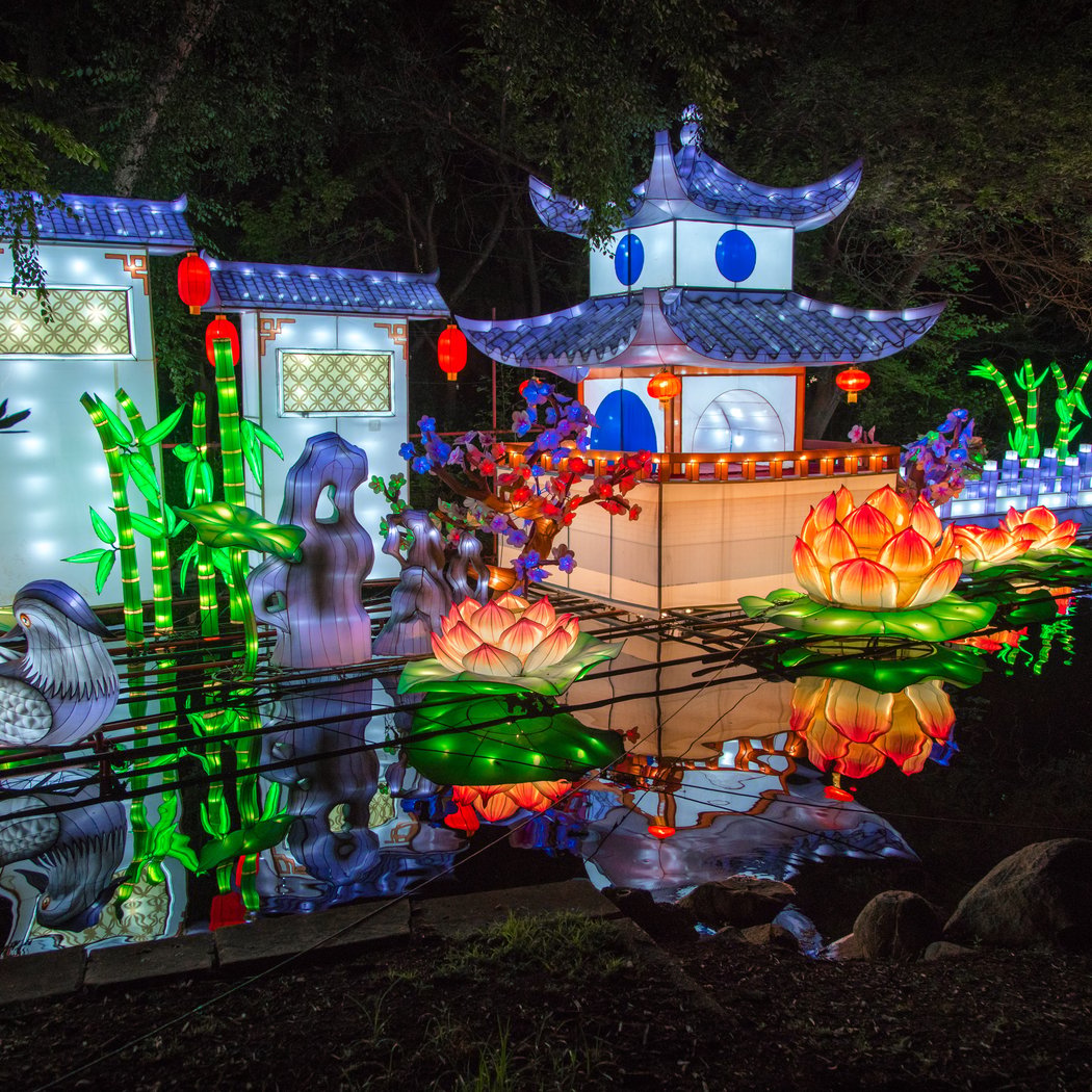 Boston Lights: A Lantern Experience